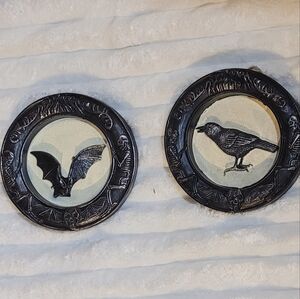 Winged Creatures Bat & Bird & Bones Black Frame Wall Decor For Witch Or Goth